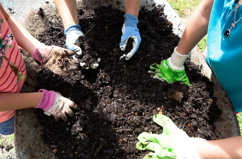 Healthy soil doesn’t just grow vegetables—it grows stronger plants Healthy soil doesn’t just grow vegetables—it grows stronger plants