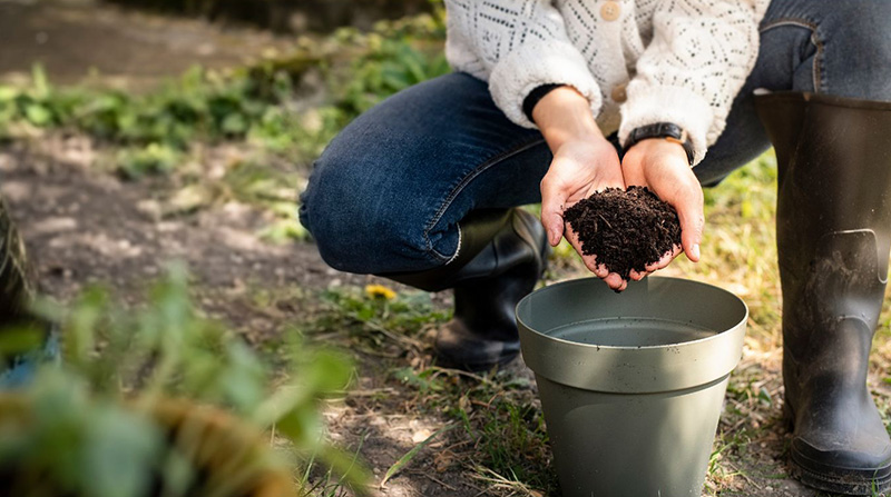 Biochar for vegetable gardens, pot plants and grass Biochar for vegetable gardens, pot plants and grass