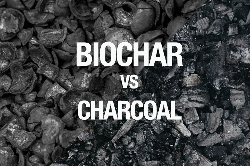 Biochar Vs Charcoal Biochar Vs Charcoal