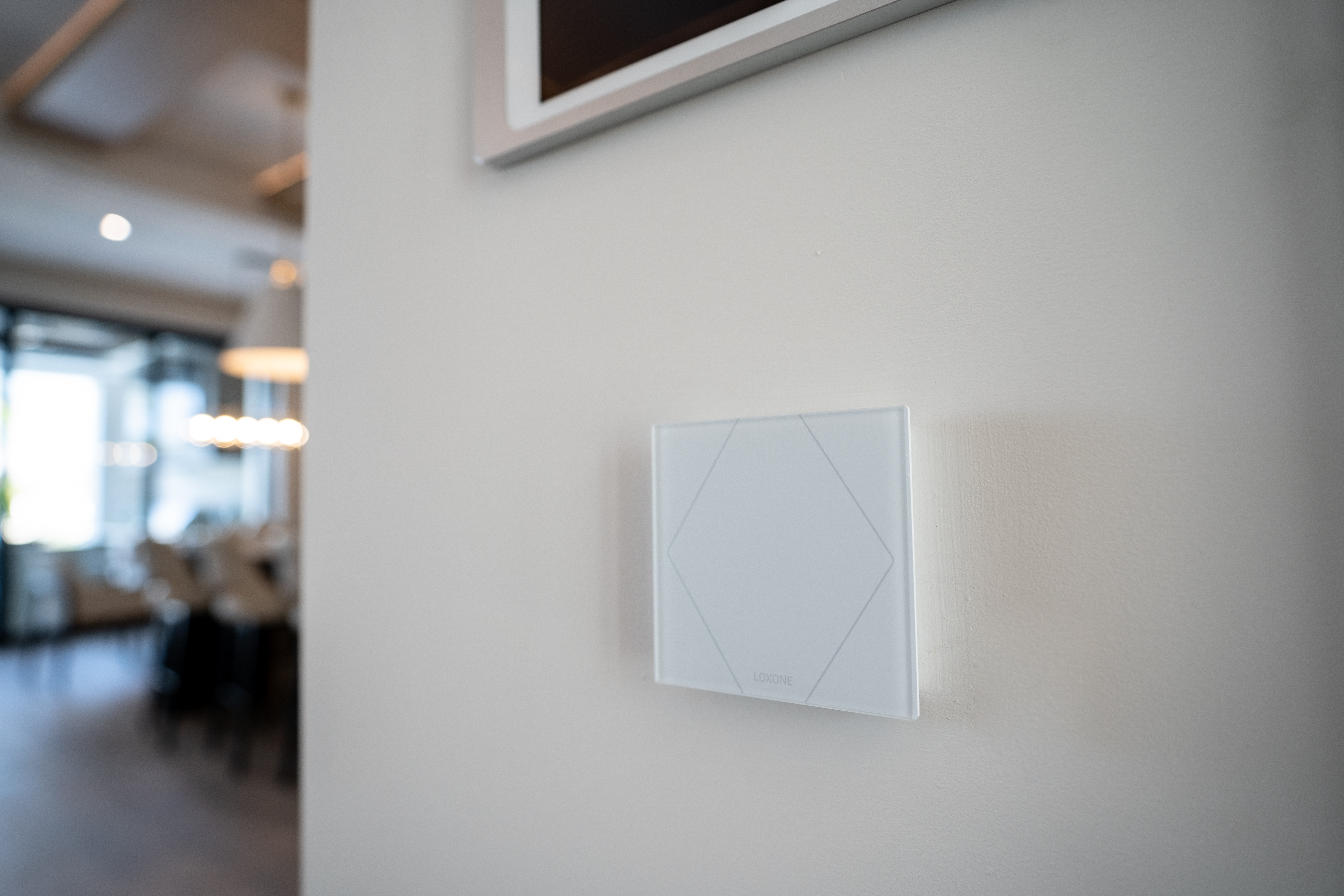 Integrated security system in the villa