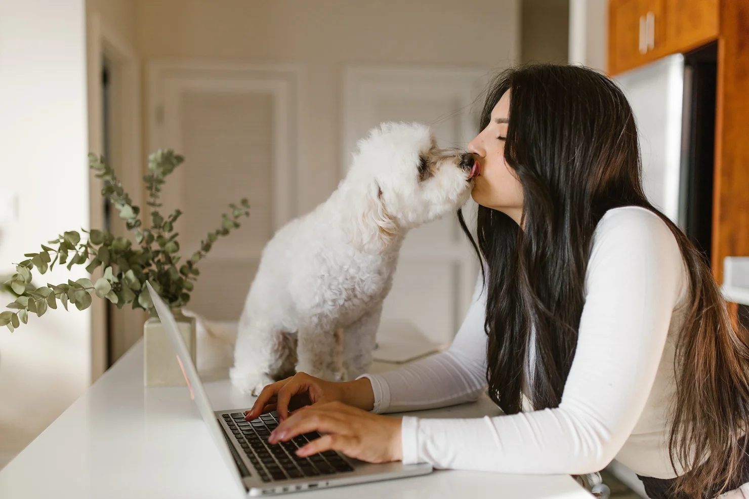 Say Goodbye to Office: How to Succeed as an Entrepreneur in a Remote Work World