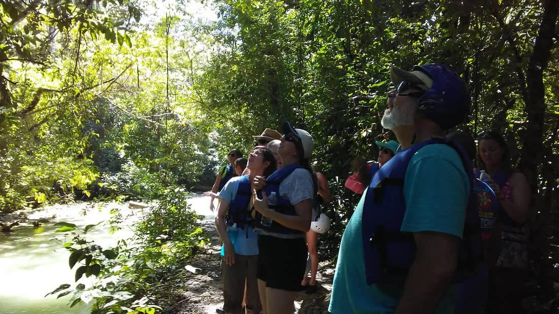 Small group of travelers exploring a Dominican jungle trail with a local guide leading. Small group of travelers exploring a Dominican jungle trail with a local guide leading.