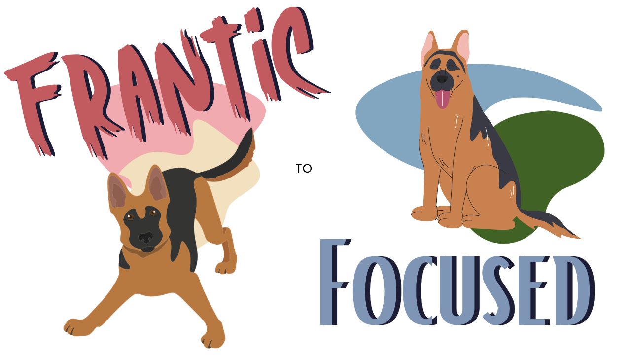 Frantic to focused, fearful, reactive