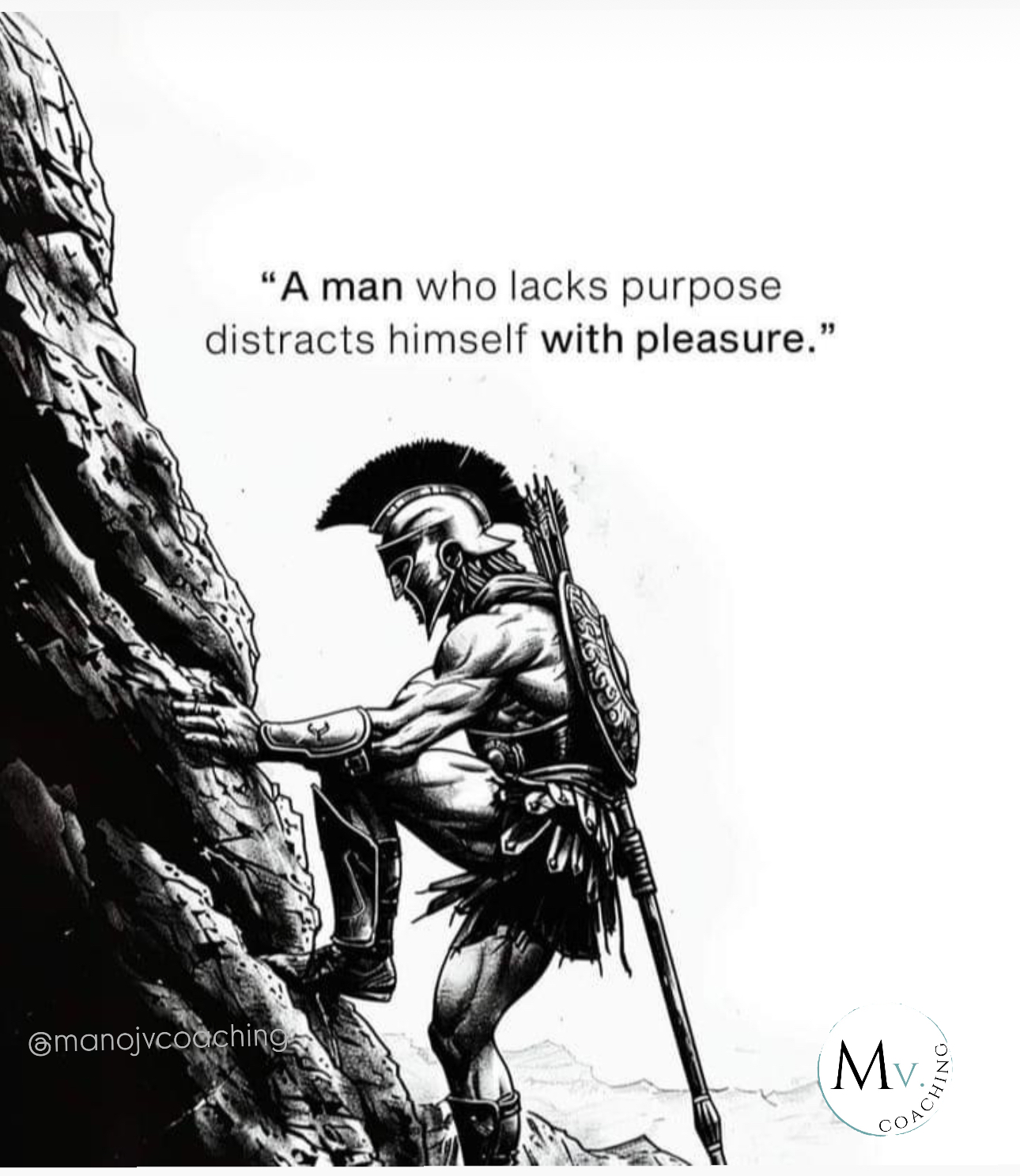 purpose vs pleasure purpose vs pleasure