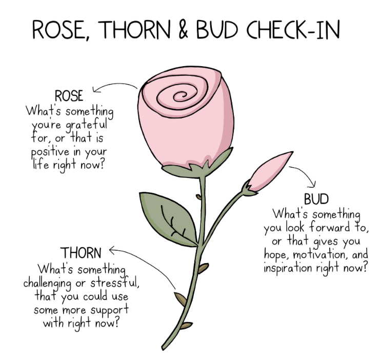 Roses, Buds, and Thorns Roses, Buds, and Thorns