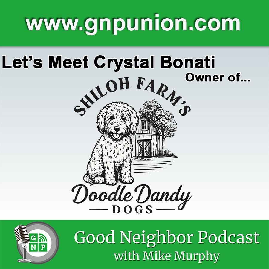 Meet The Doodles Trained For Real Life And Ready For Forever Homes