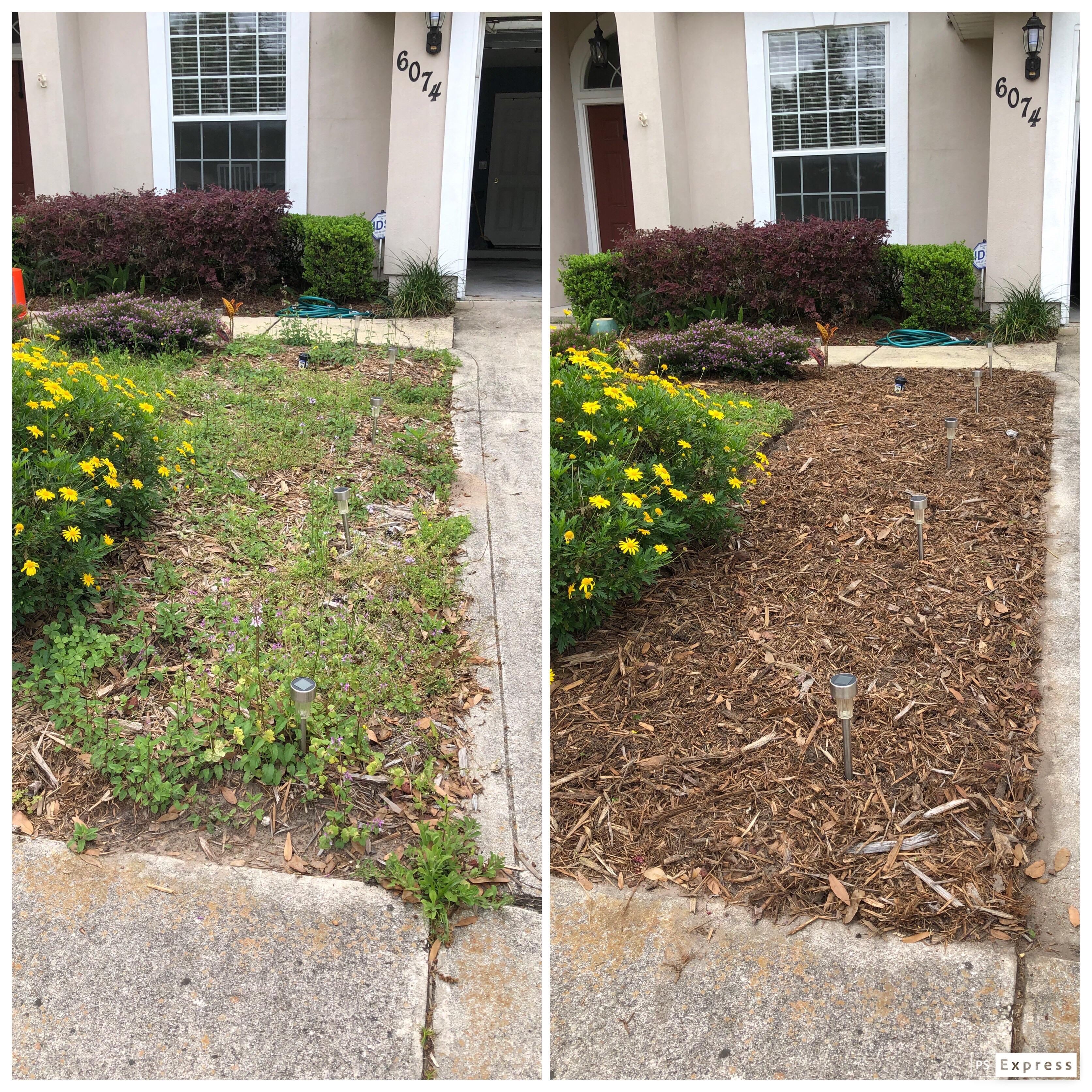 Before and After Weed Care Program Before and After Weed Care Program
