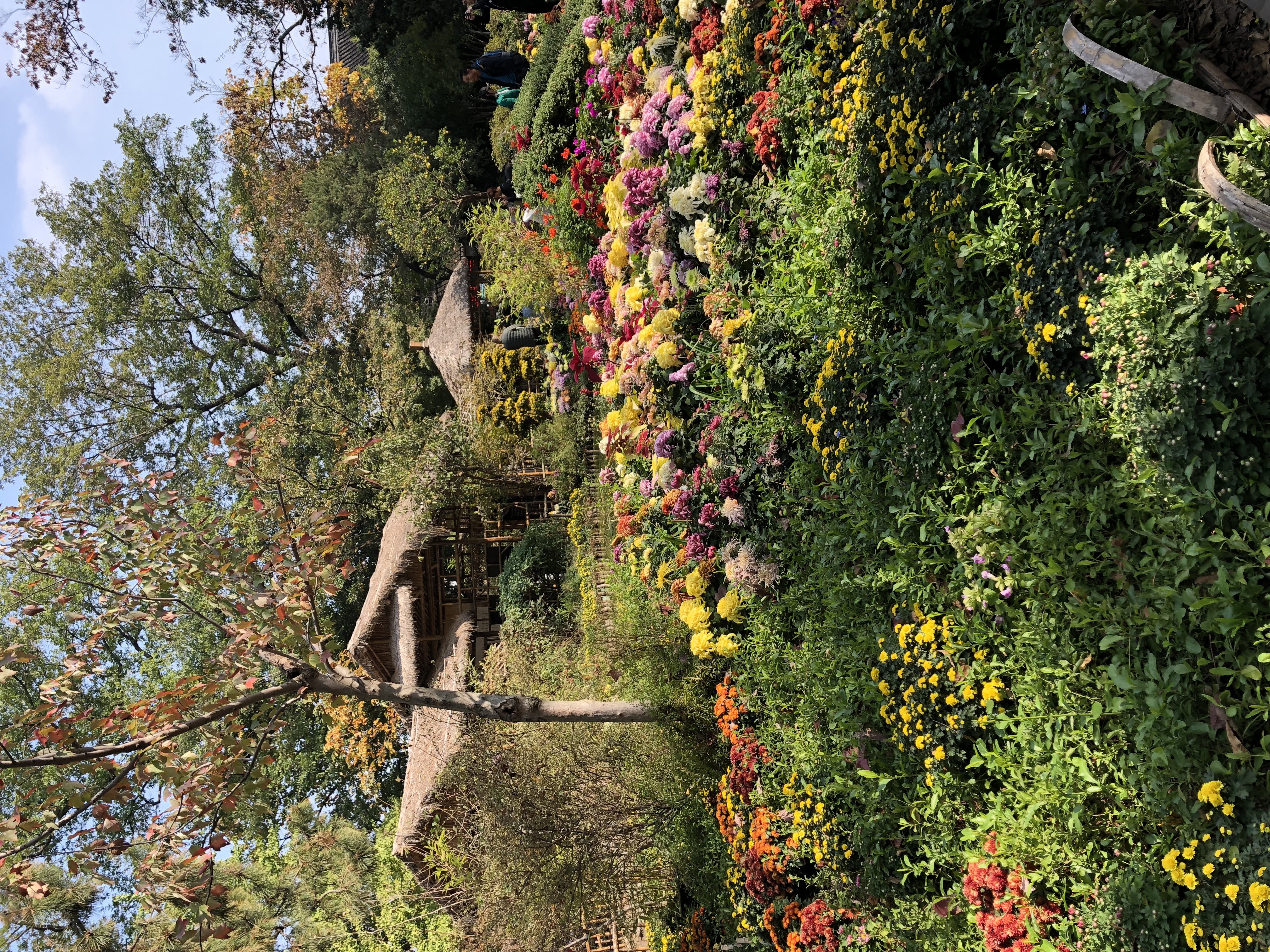Colorful flower gardens surrounding a rustic tea house in Hangzhou, a peaceful highlight of transformational travel for women seeking clarity and connection.