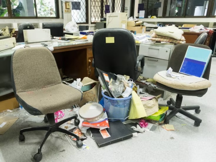 BENEFITS OF A PROFESSIONAL CLEANING BENEFITS OF A PROFESSIONAL CLEANING