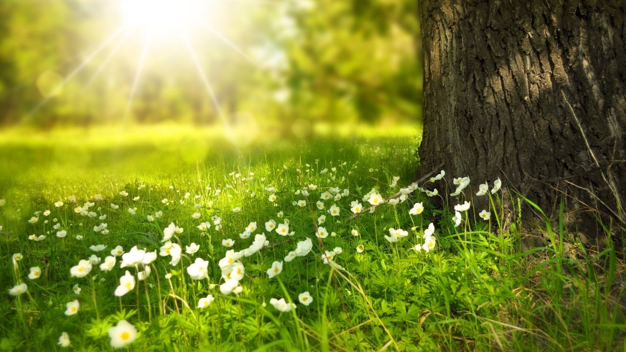 暑い時期、気になる虫除け対策