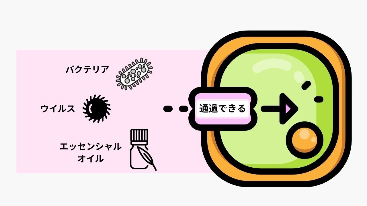 エッセンシャルオイルは薬？！