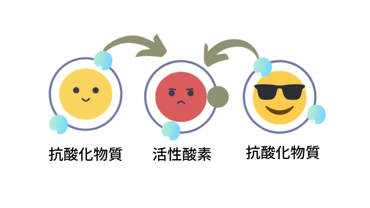抗酸化作用のあるエッセンシャルオイル（アロマオイル）で身体の内外からセルフケアをする方法！