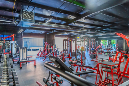 The One Gym - Annual Membership