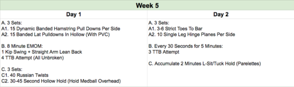 Overhaul Your Toes To Bar in 5 Weeks - Performance Plus Programming