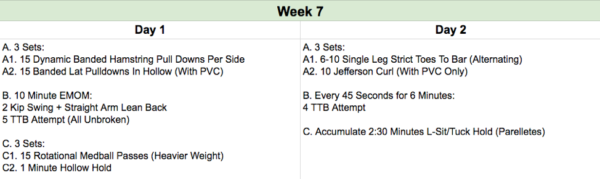 toes to bar program