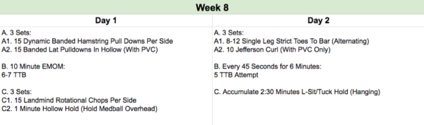 toes to bar program