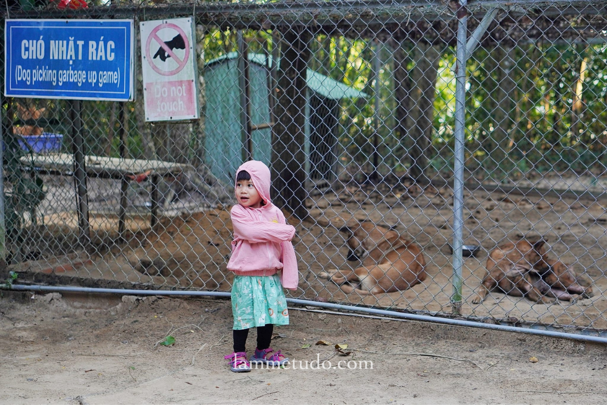 trung-tam-bao-ton-cho-xoay-phu-quoc trung-tam-bao-ton-cho-xoay-phu-quoc
