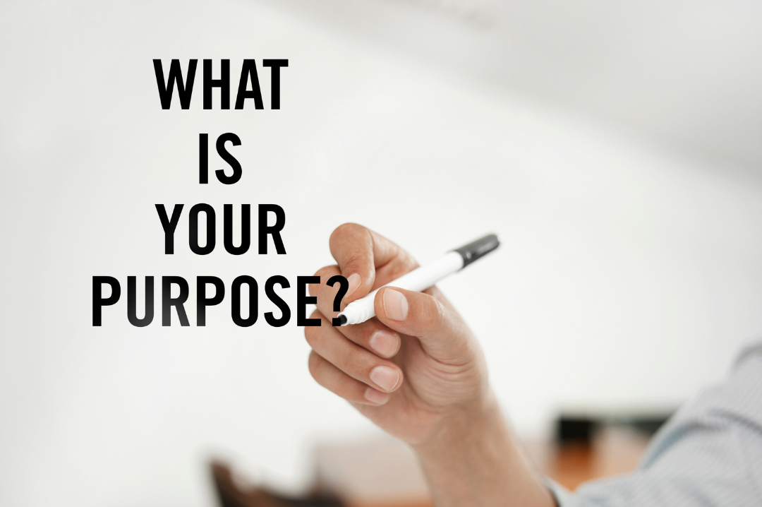 Blog’s Purpose Blog’s Purpose