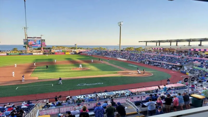 blue wahoos blue wahoos