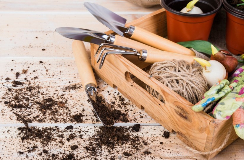 Wooden crate filled with gardening tools—trowel, hand rake, transplanter—alongside twine, gloves, and plant bulbs, with soil scattered on a table and potted plants in the background.