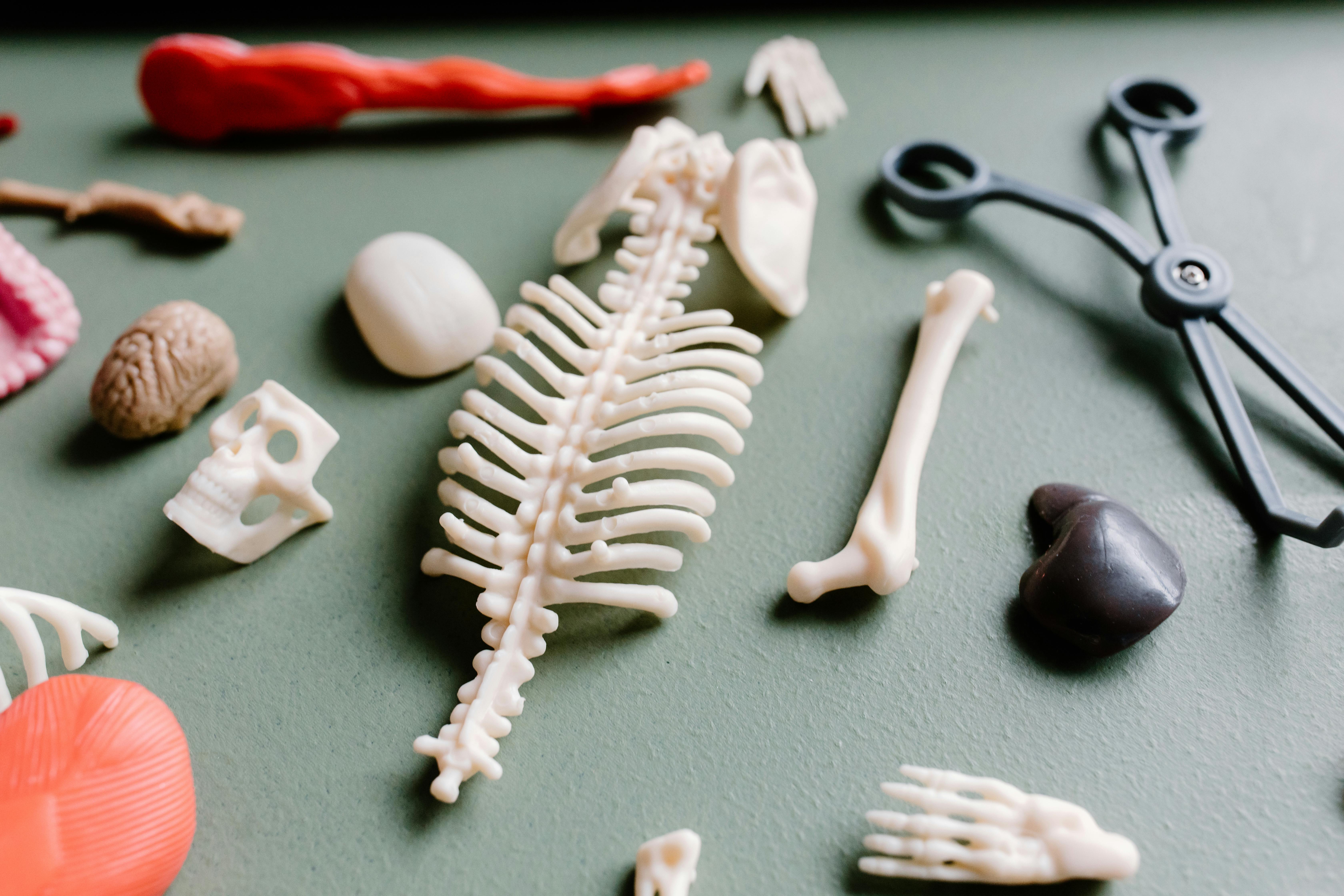 Breaking the Nursing Career Myth Breaking the Nursing Career Myth
