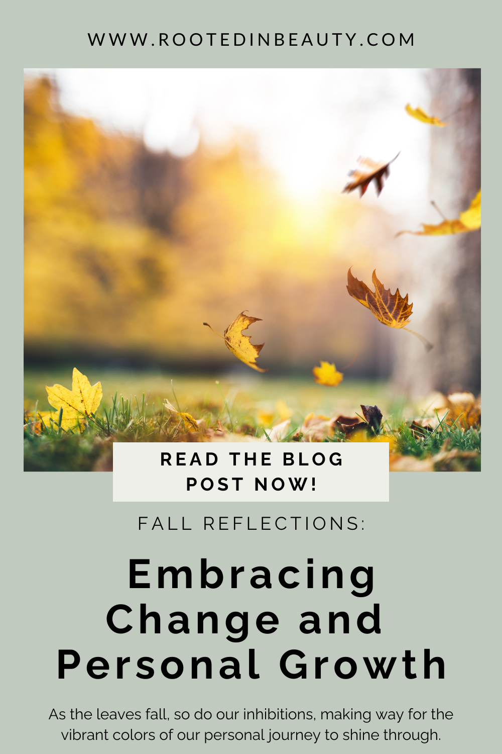 Fall Reflections: Embracing Change and Personal Growth