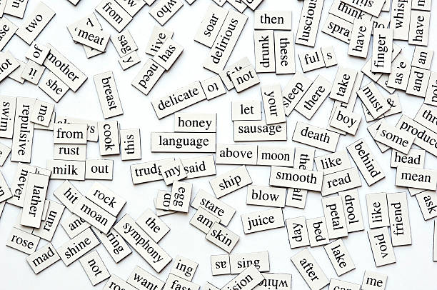 random words random words