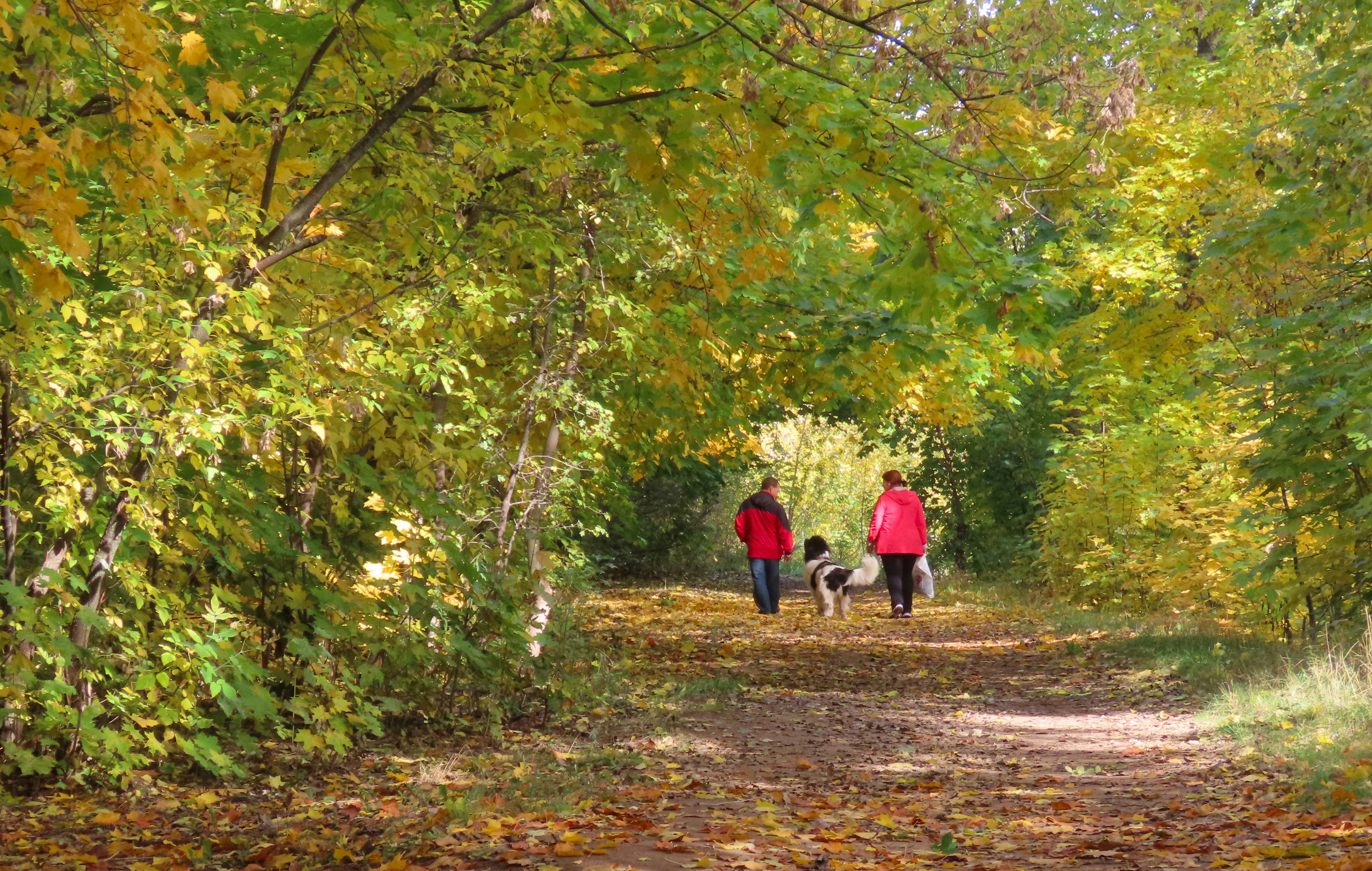 walk in autumn walk in autumn
