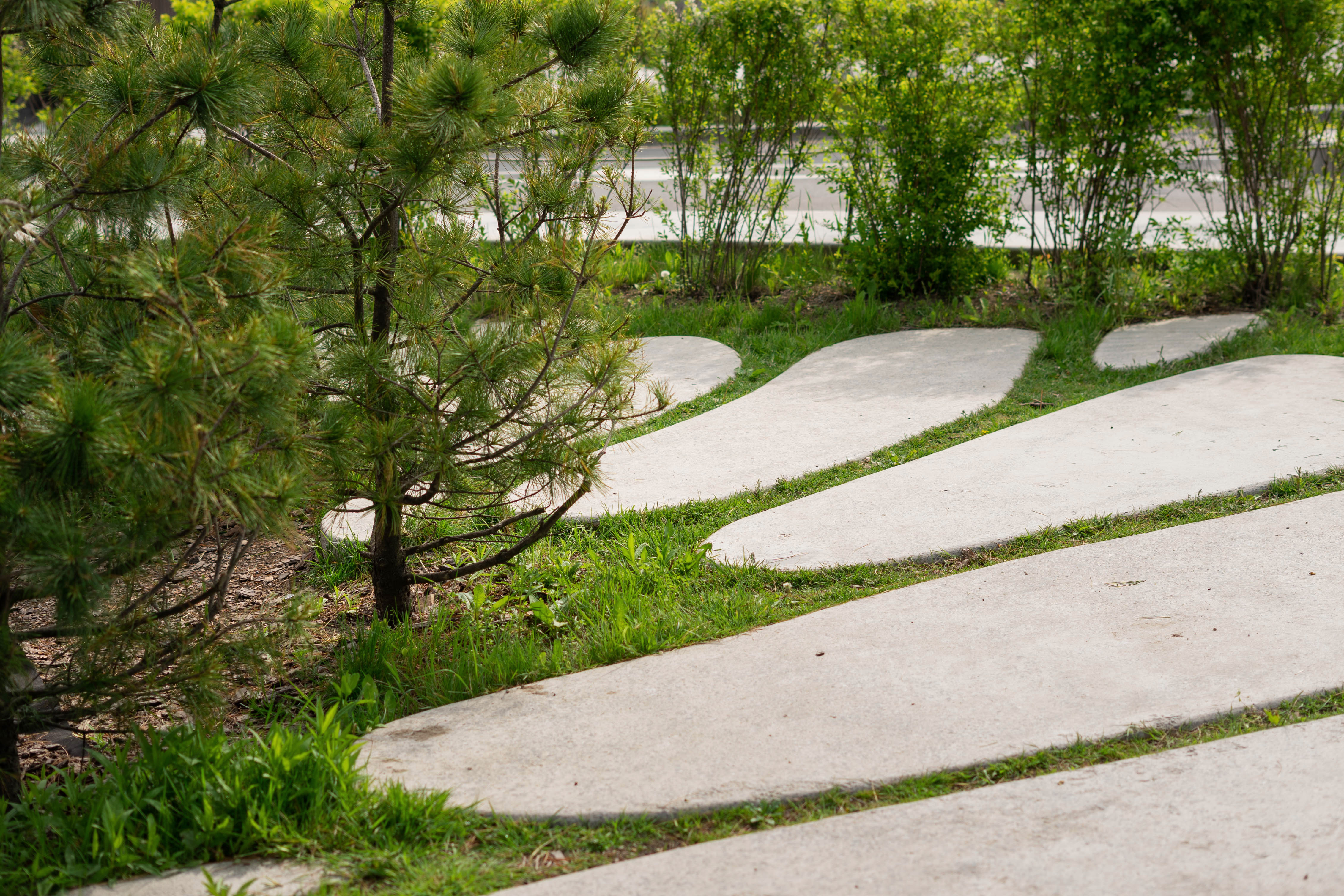 Minimalist Landscaping Minimalist Landscaping
