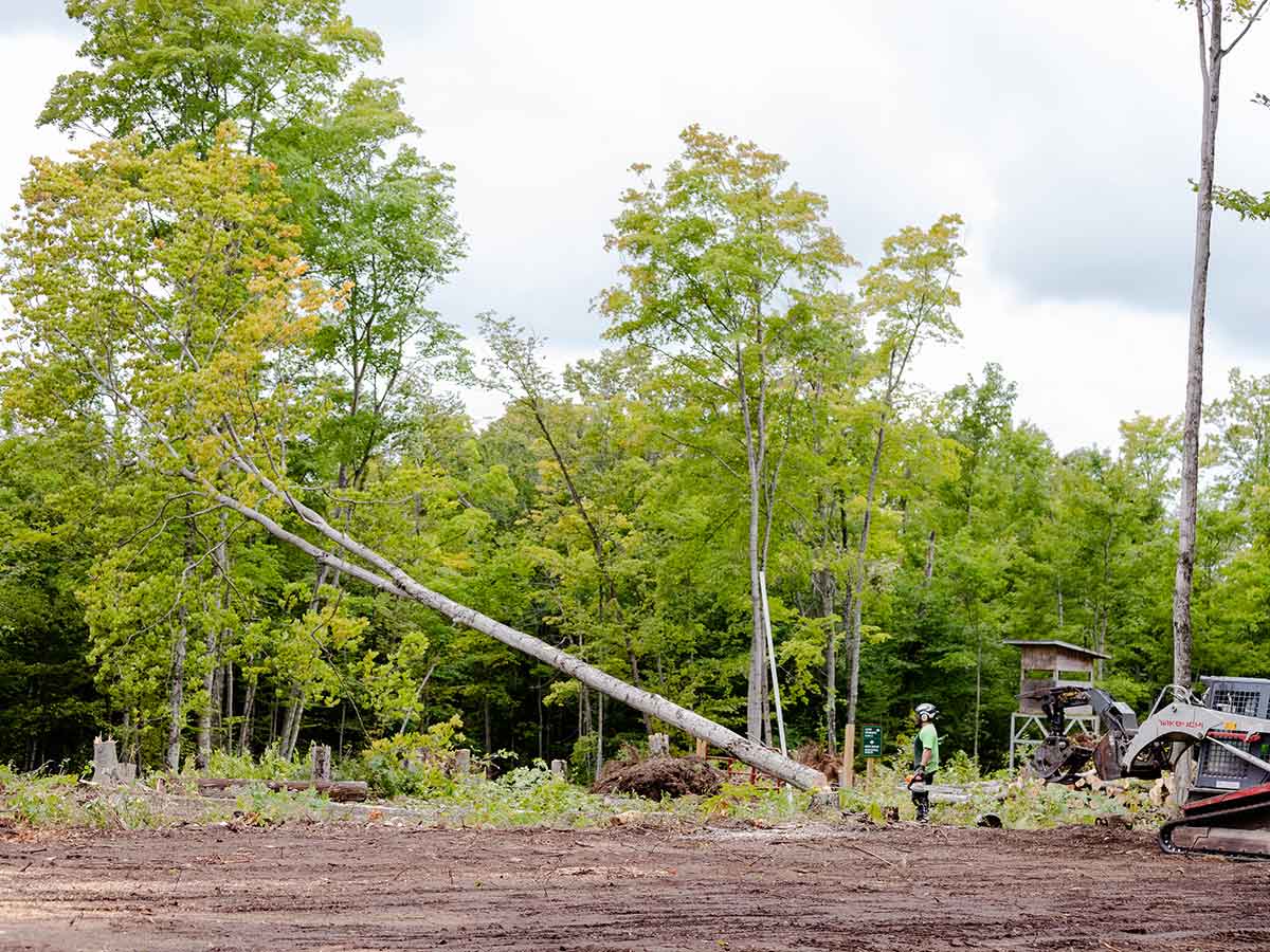 lot clearing lot clearing