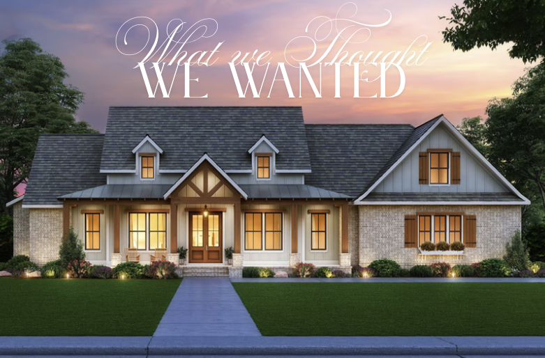 What we thought we wanted - new home construction What we thought we wanted - new home construction