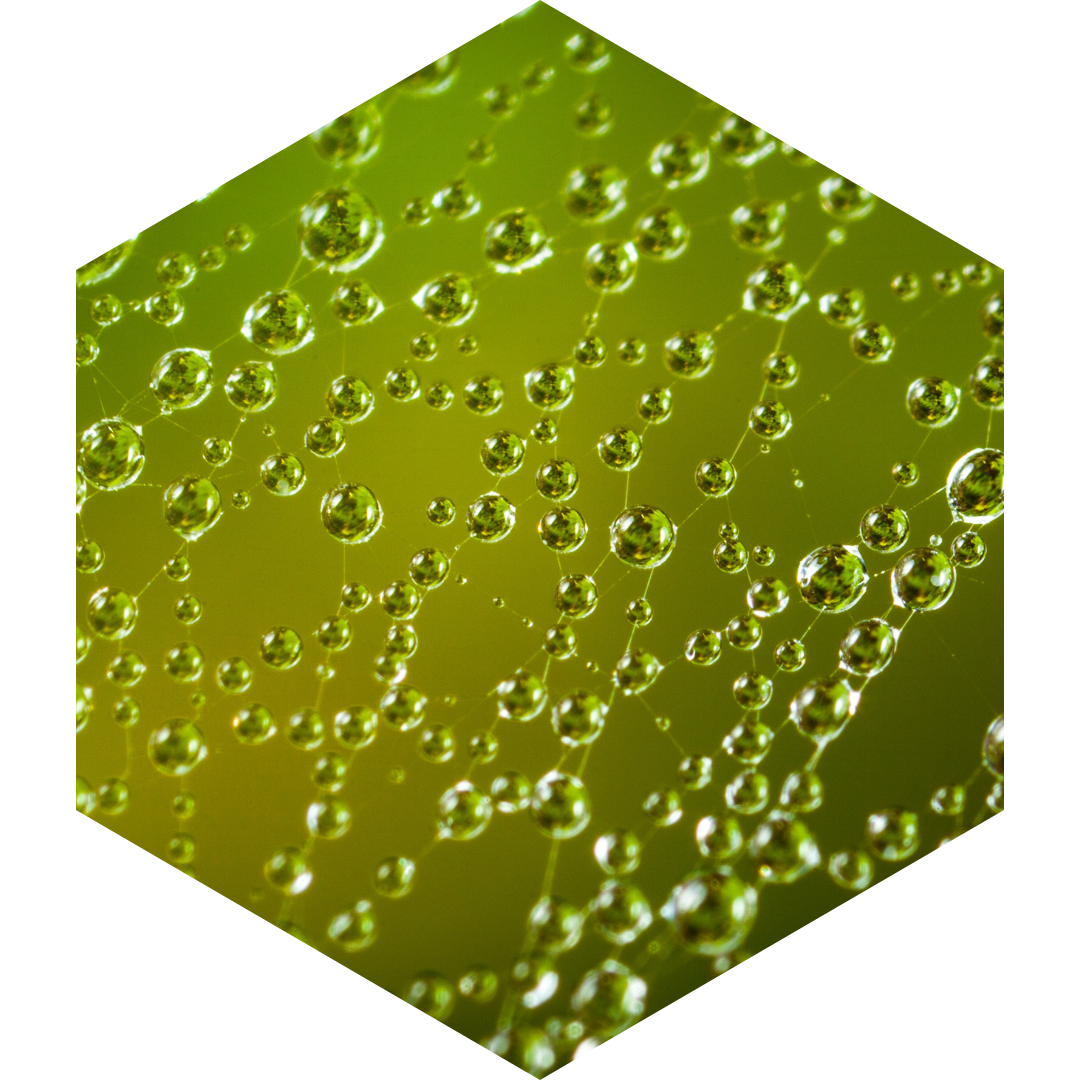 cell-permeable water cell-permeable water