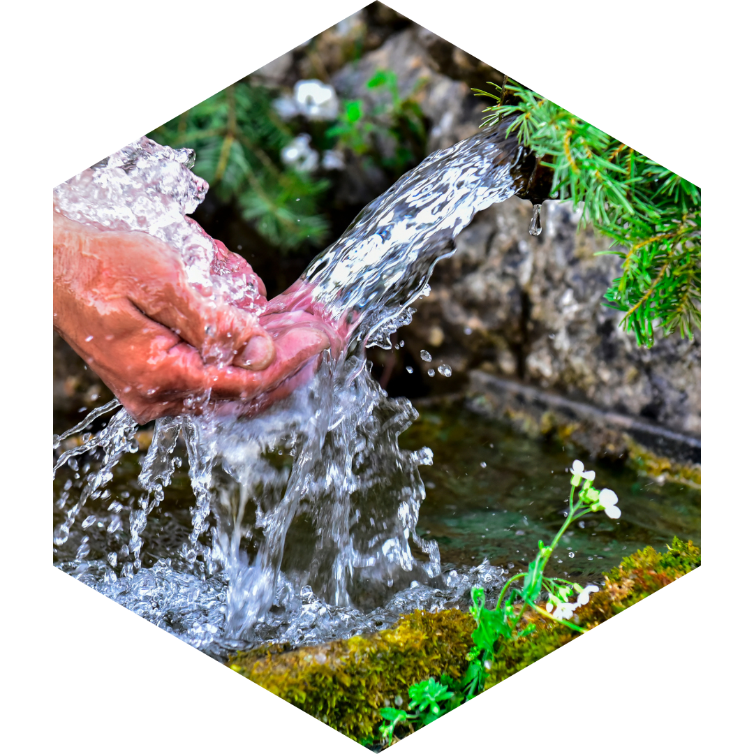 cell-permeable water cell-permeable water