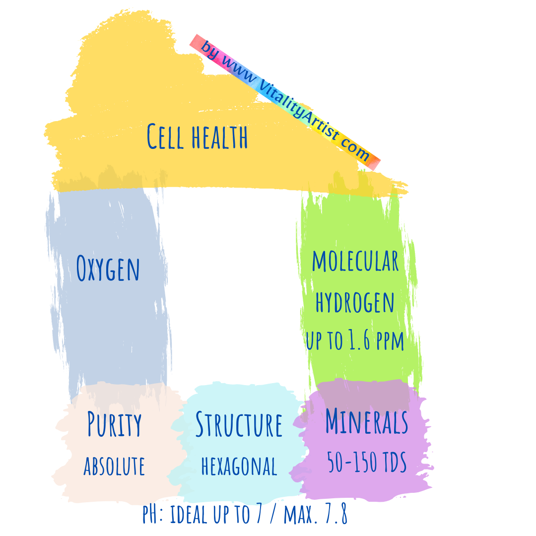 Foundation and pillar for cell health Foundation and pillar for cell health