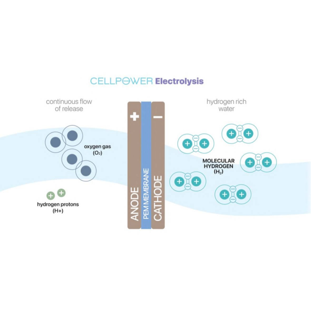 Elektrolyse der CellPowerflasche Elektrolyse der CellPowerflasche