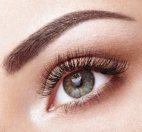 Powder Brows