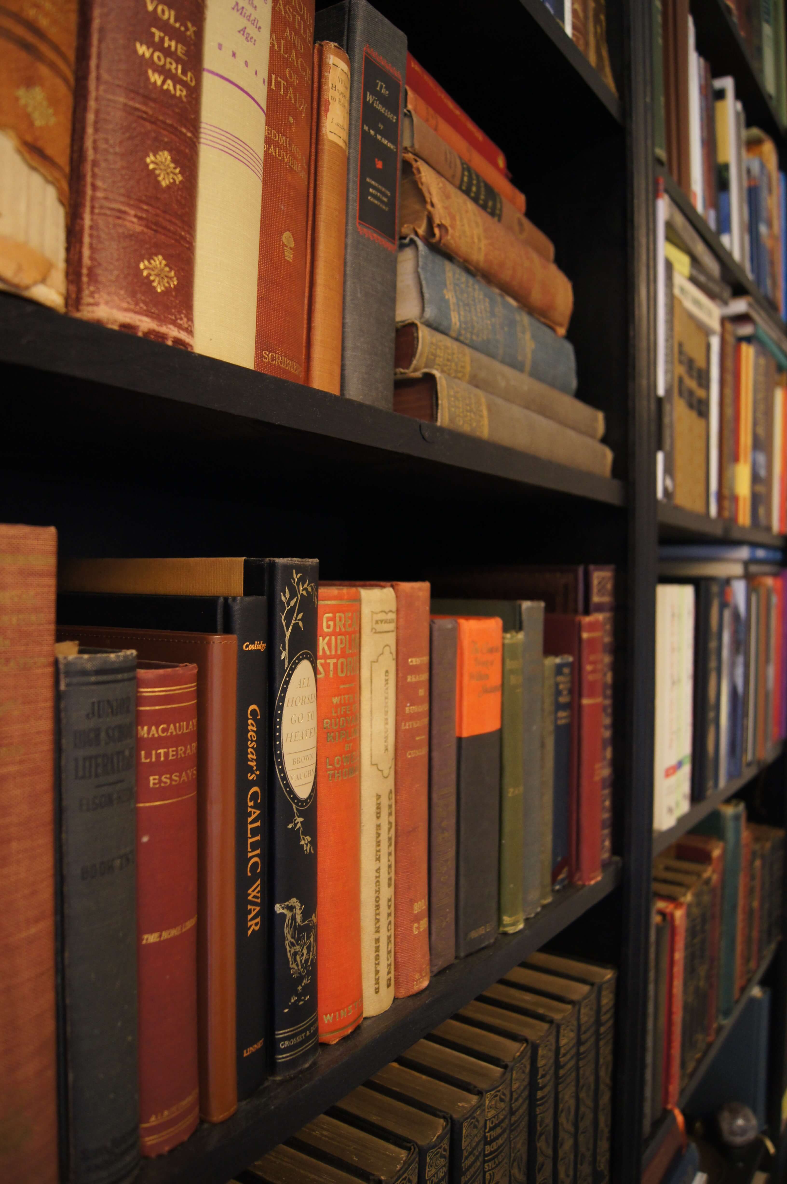 Support Anistemi's Open Access Library