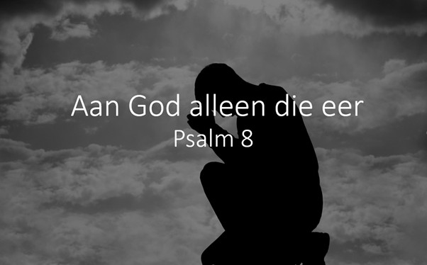 diens diens