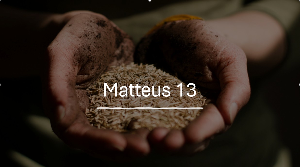 mat13 mat13
