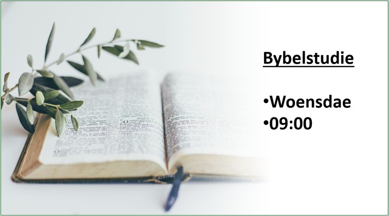 bybelstudie