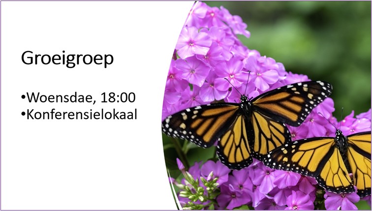 groei groei