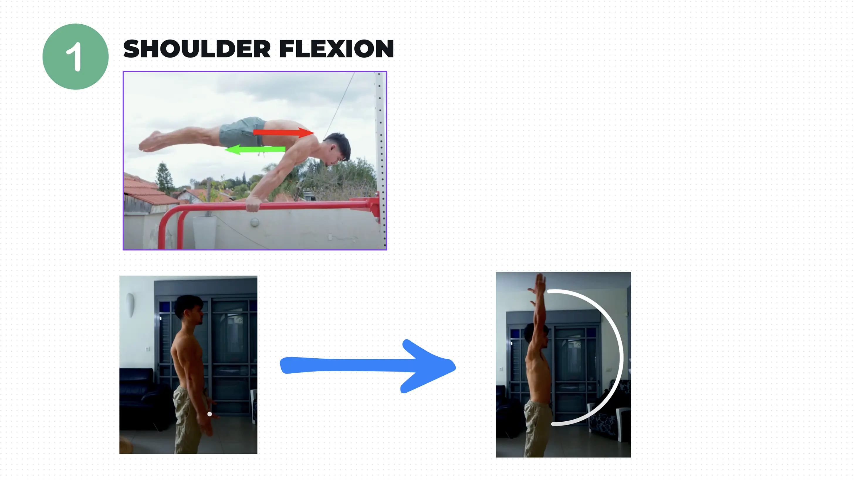Close-up of planche hold focusing on shoulder flexion and scapular protraction engagement. Close-up of planche hold focusing on shoulder flexion and scapular protraction engagement.