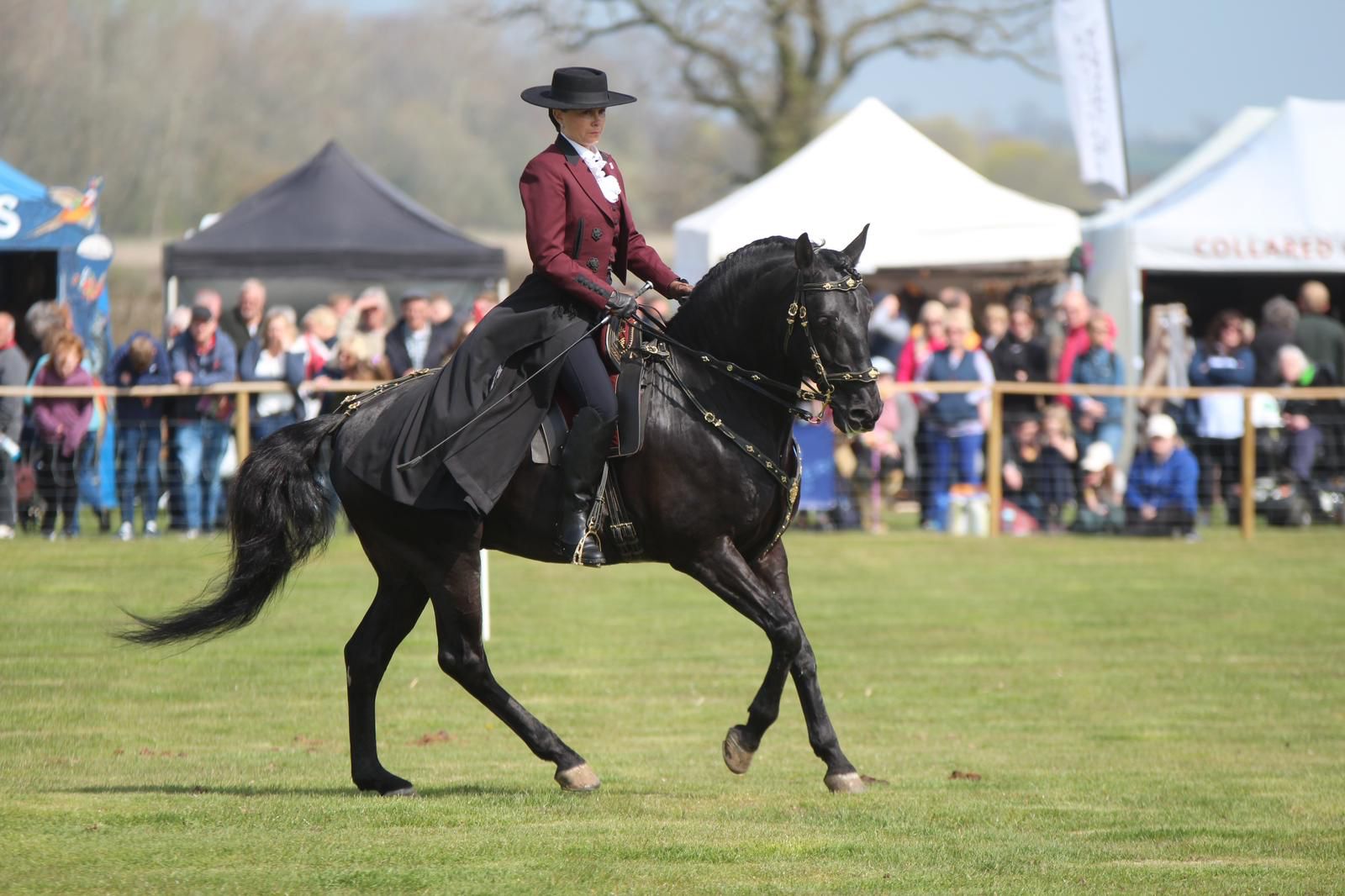 Lusitano Display