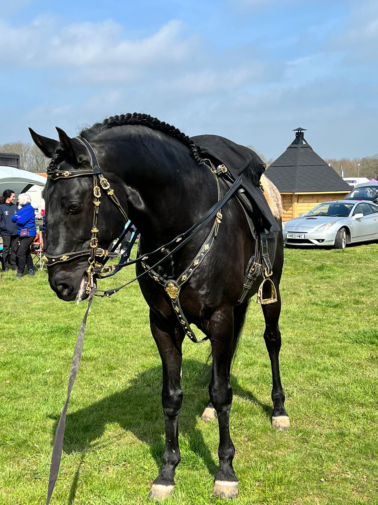 Lusitano Display