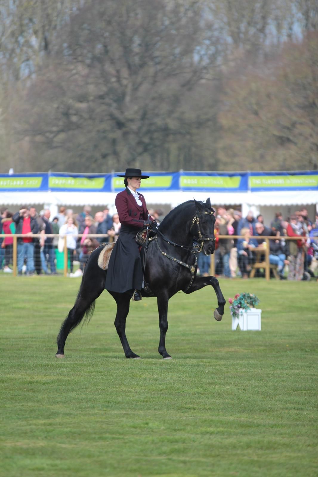 Lusitano Display