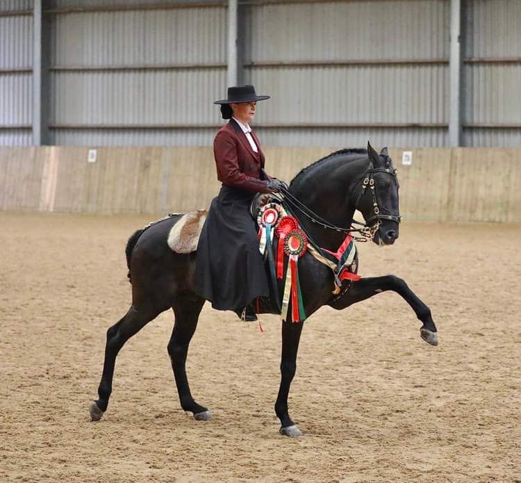 Emma riding Ravon at the Lusitano Breed Show 