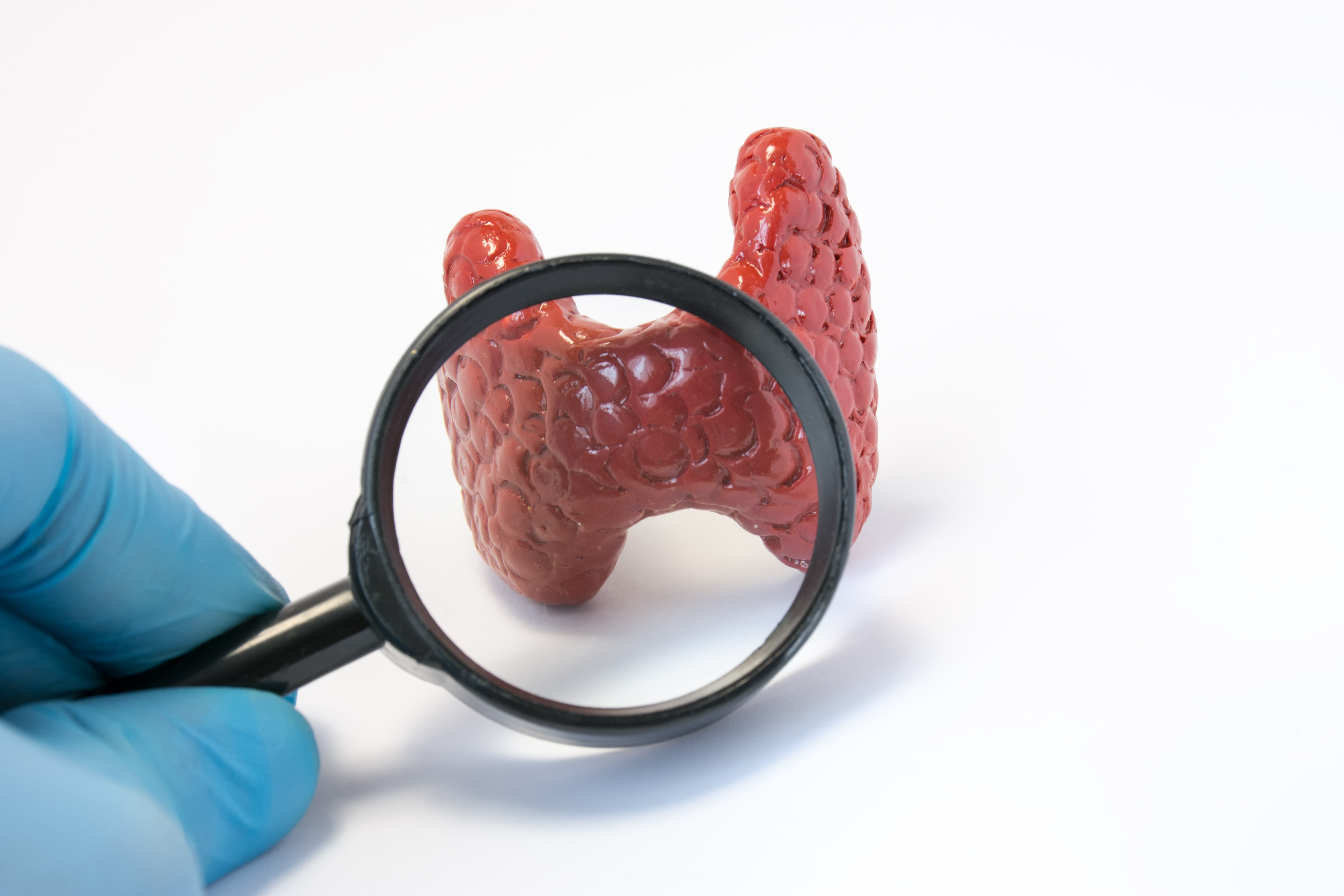 Thyroid Disease Raleigh