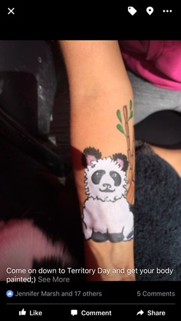 Face painting butterfly design
