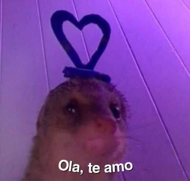 te amo