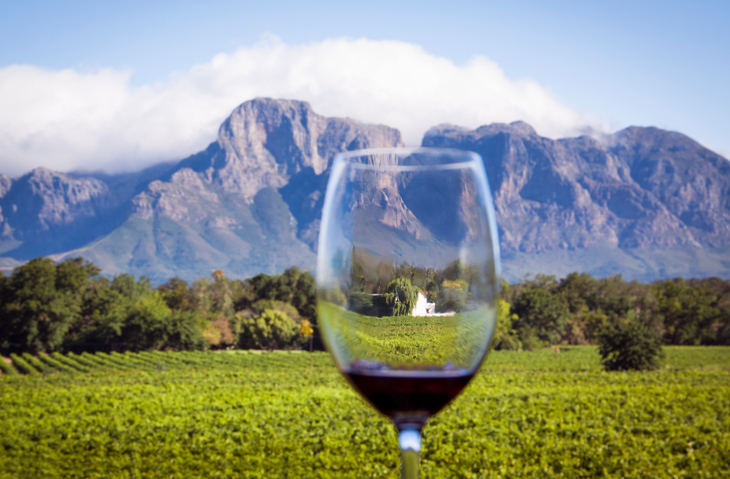 wine